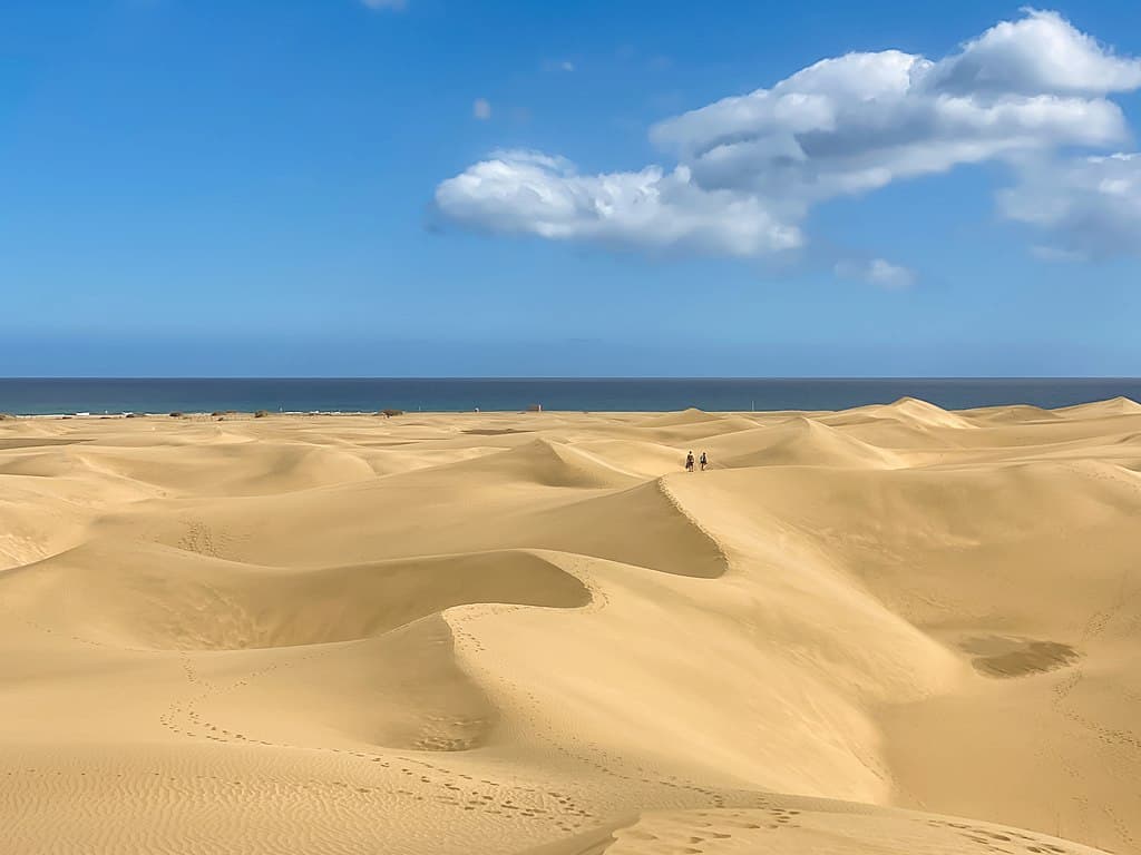 Dunas móviles