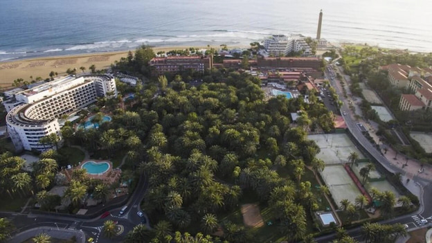 Palmeral