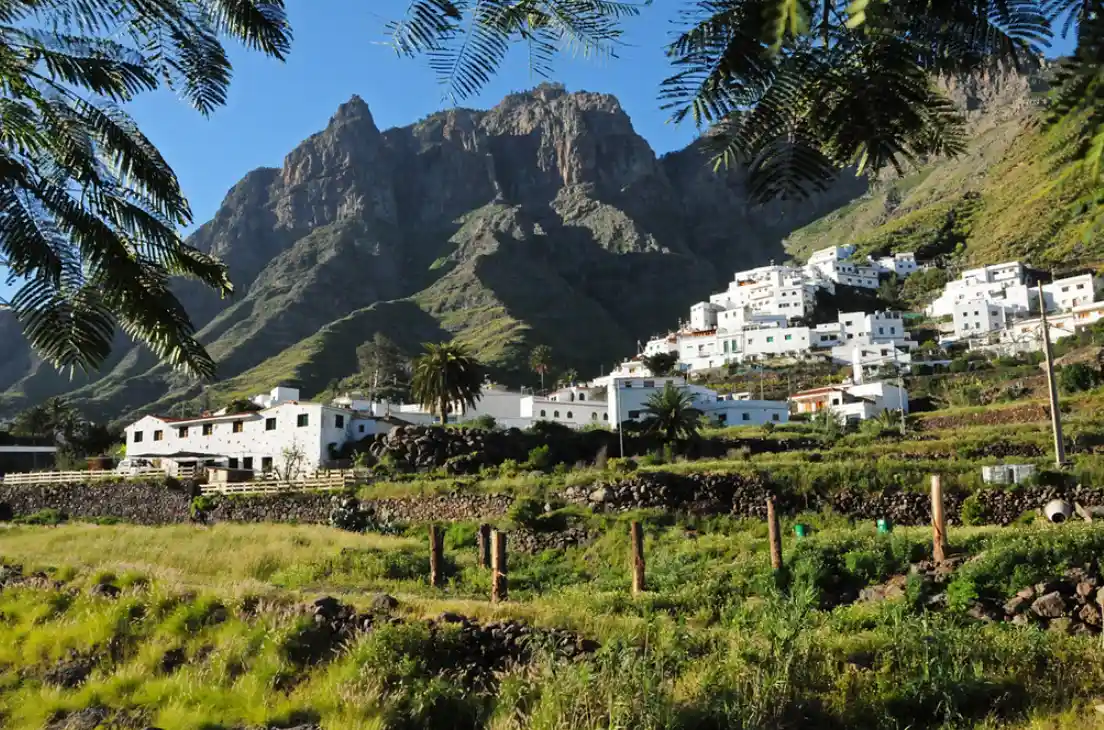 Terraced coffee and tropical fruit plantations in the green Valle de Agaete, Gran Canaria