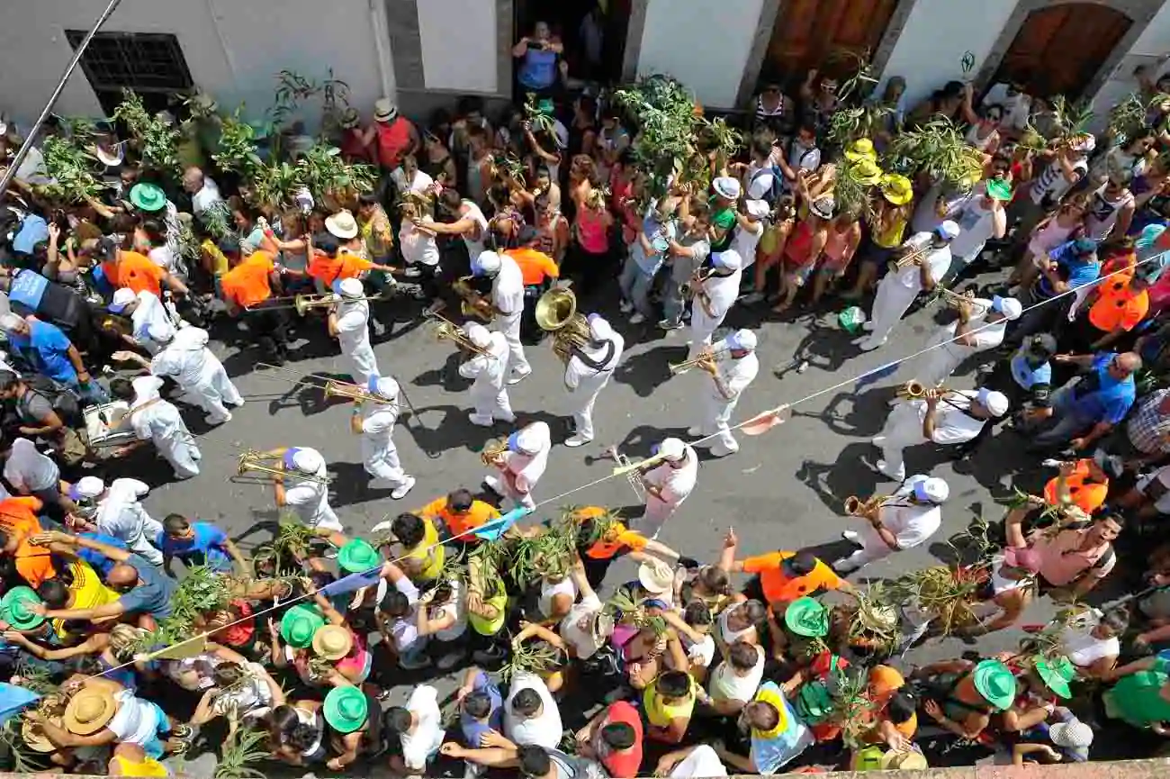 Bajada de la Rama Festival