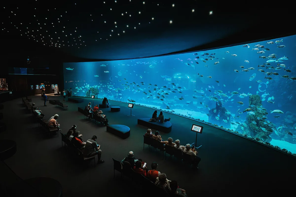 Panorama-Aquarium im Poema del Mar in Las Palmas de Gran Canaria