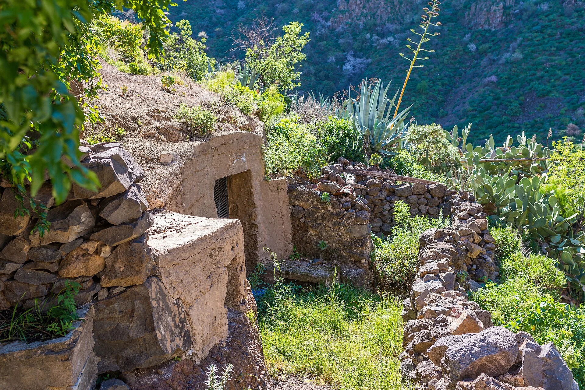 Sendero y casas cueva en el Barranco de Guayadeque