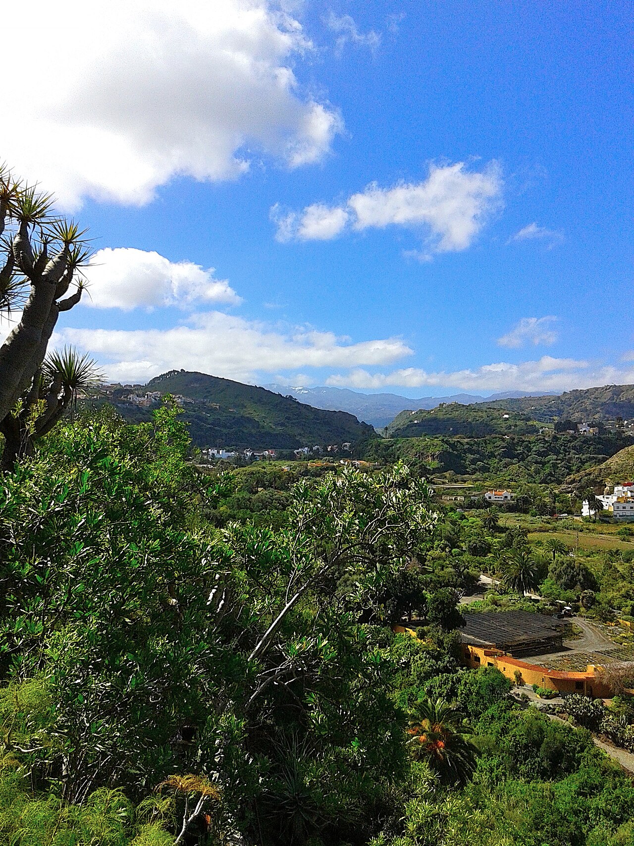 Vista del Jardín Canario y el barranco de Guiniguada