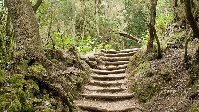 Senderismo Montañas Sagradas Gran Canaria